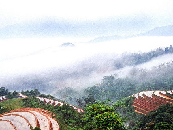 Bắc Bộ nắng nhẹ, Nam Bộ chiều tối có mưa rào và dông rải rác ảnh 1