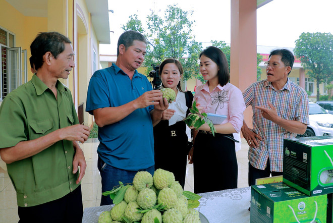 Trái na Đông Triều mang lại giá trị kinh tế cao, giúp nông dân làm giàu ảnh 2