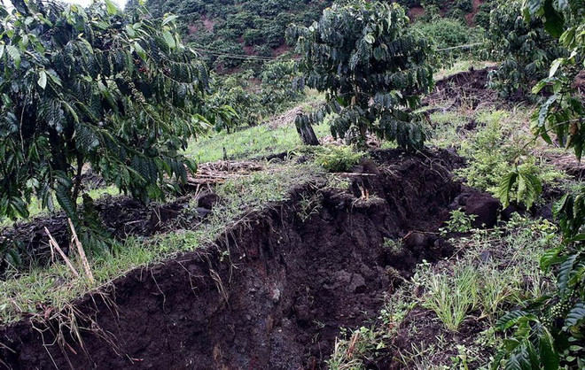 [Photo] Lại tái diễn trượt lở đất nghiêm trọng tại Di Linh ảnh 1