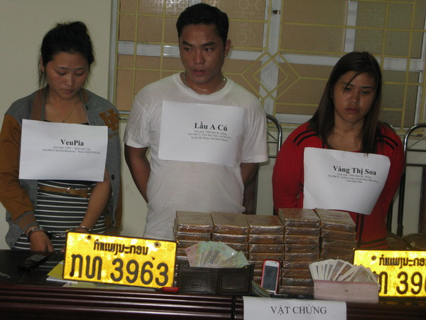 Khám phá, điều tra hơn 29.000 vụ tội phạm ma túy trong 2013 ảnh 1