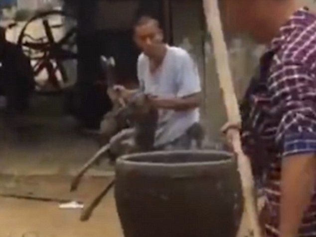 Hãi hùng cảnh tượng 3 người đàn ông luộc sống chó trong nước sôi ảnh 1