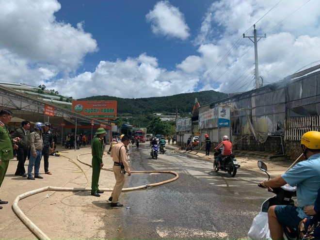 Lâm Đồng: Dập tắt đám cháy lớn tại khu du lịch ở thành phố Đà Lạt ảnh 1