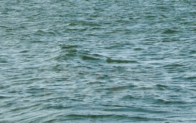 Điện Biên: Một người dân bị nước cuốn trôi mất tích khi lội qua suối ảnh 1