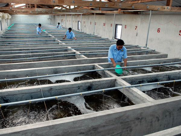 Đoàn công tác Chính phủ Australia làm việc với Ban Kinh tế TW ảnh 1