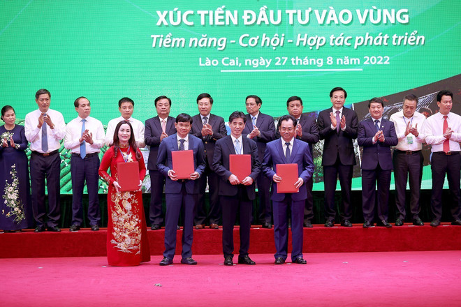 Thủ tướng: Thực hiện Nghị quyết 11 cần linh hoạt, hiệu quả ảnh 2