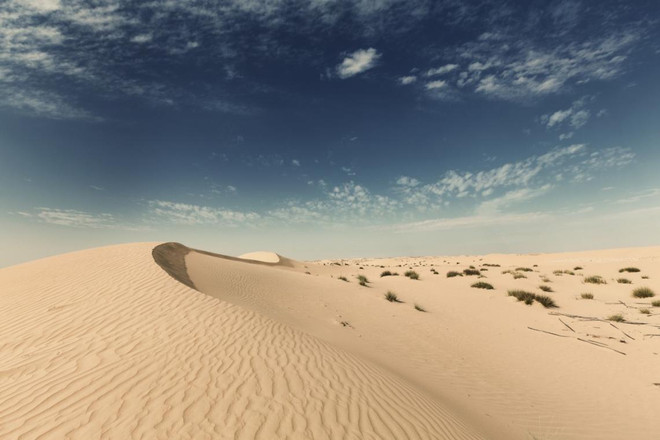 (Nguồn: megainteresting.com) Cảnh báo nguy cơ châu Âu chìm trong bụi từ sa mạc Sahara ảnh 1