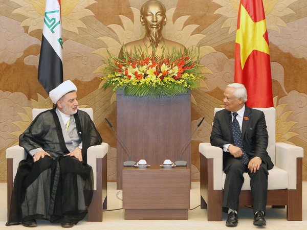 Nâng cao hiệu quả hợp tác giữa Việt Nam và Iraq trong thời gian tới ảnh 1