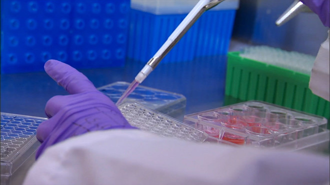 Nhiều hợp chất kim loại giúp điều trị hiệu quả các bệnh nhiễm nấm ảnh 1