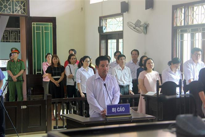Bình Định: Cục Thi hành án kháng cáo vụ buộc bồi thường 55 tỷ đồng ảnh 1