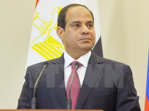 Tổng thống Ai Cập Abdel Fattah al-Sisi sẽ sớm cải tổ nội các ảnh 1