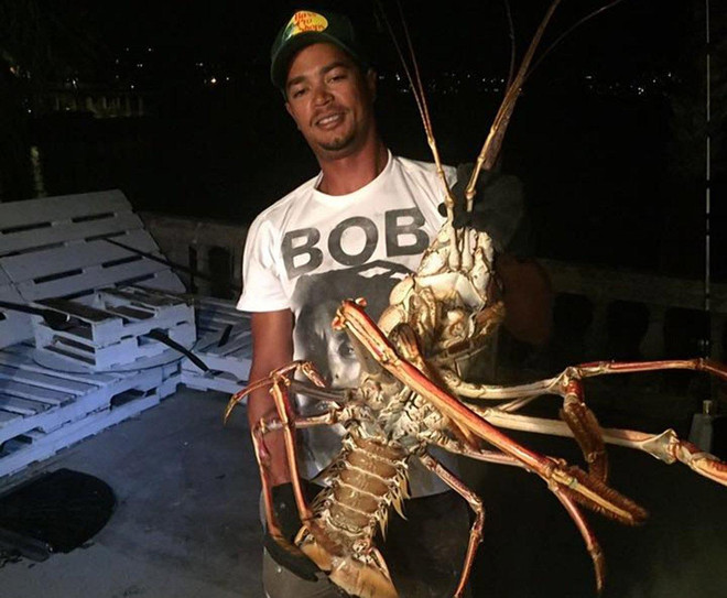 Ngư dân choáng váng khi bắt được con tôm hùm khổng lồ ảnh 1