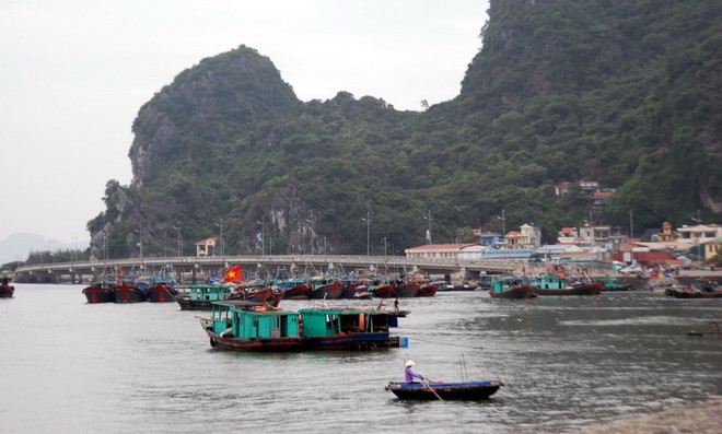 Các địa phương chạy đua với thời gian khẩn trương ứng phó bão số 7 ảnh 1