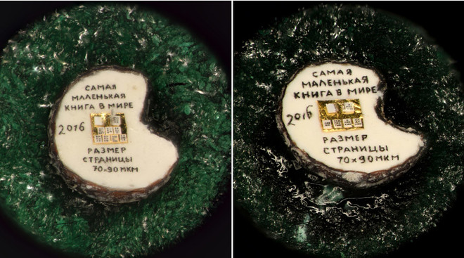 Nghệ sỹ Nga tài hoa gây sửng sốt với hai cuốn sách siêu nhỏ ảnh 1