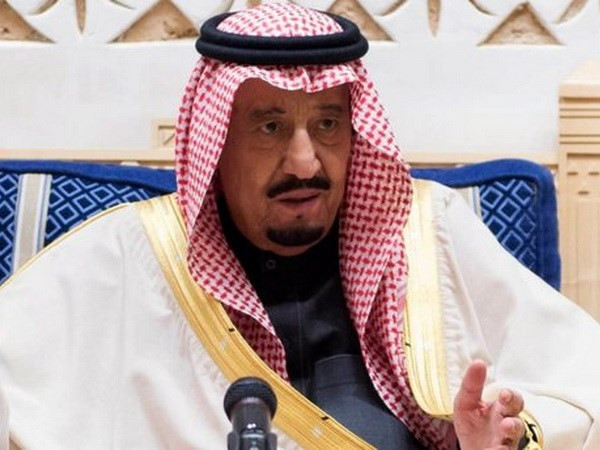 Quốc vương Saudi Arabia công du tới một loạt nước vùng Vịnh ảnh 1