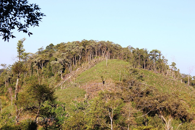 Quá hạn báo cáo kiểm kê đất đai, nhiều tỉnh vẫn ‘dẫm chân tại chỗ’ ảnh 2