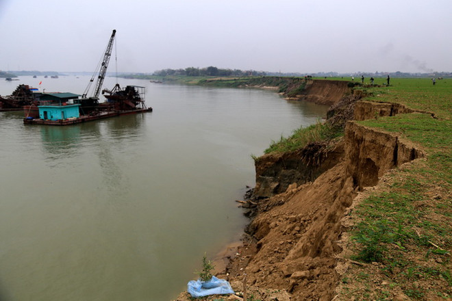 Phú Thọ: Doanh nghiệp ngang nhiên khai thác cát sỏi phớt lờ lệnh cấm ảnh 2