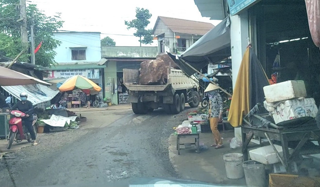 Chiếc xe chở đá. (Ảnh: Đất Việt/Vietnam+) Đồng Nai: Công khai phá rừng khai thác đá trái phép giữa mùa dịch bệnh ảnh 2