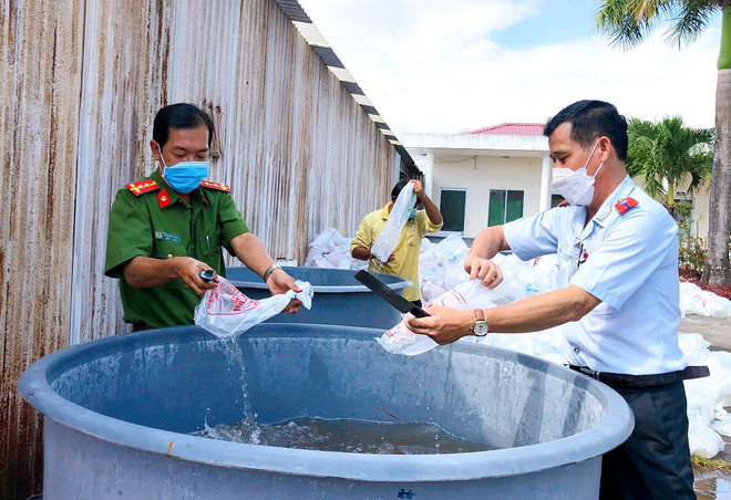 Bạc Liêu: Phát hiện gần 5,3 triệu con tôm giống chưa qua kiểm dịch ảnh 1
