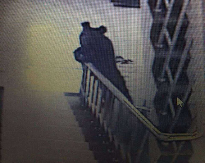 Học sinh hốt khoảng khi thấy gấu đen "đột nhập" vào trường ảnh 1