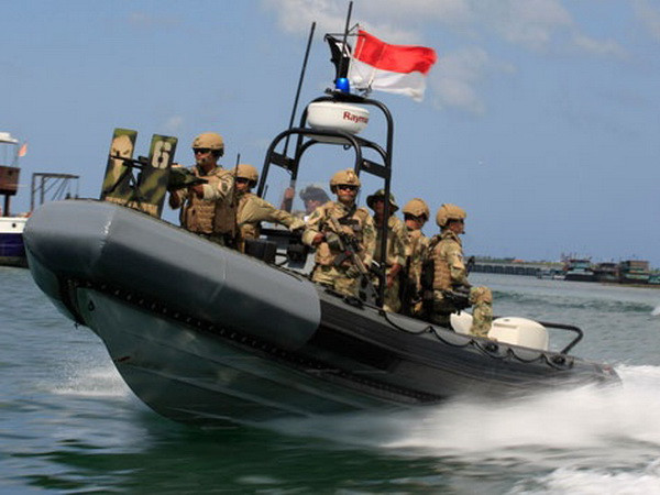 Quân đội Indonesia tham gia tìm kiếm máy bay mất tích ảnh 1