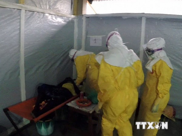 Cố y tá Nigeria có thể nhiễm Ebola từ nước tiểu của bệnh nhân ảnh 1