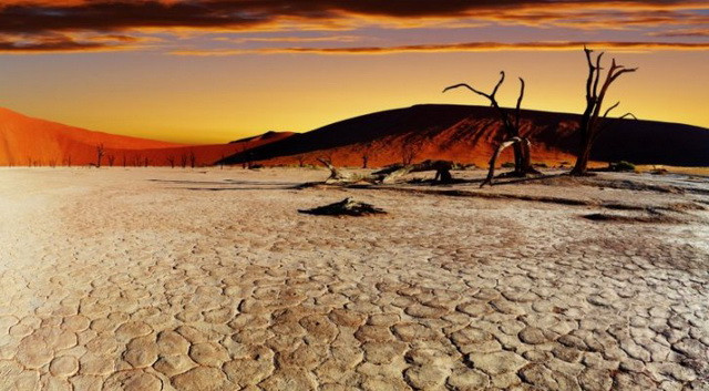 Tiểu bang California của Mỹ ban hành các quy định tiết kiệm nước ảnh 1