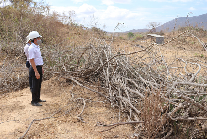 'Siêu dự án' điện Mặt Trời của Ninh Thuận vướng giải phóng mặt bằng ảnh 1