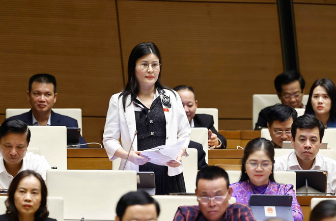 ttxvn dai bieu tinh ha tinh_resize.jpg