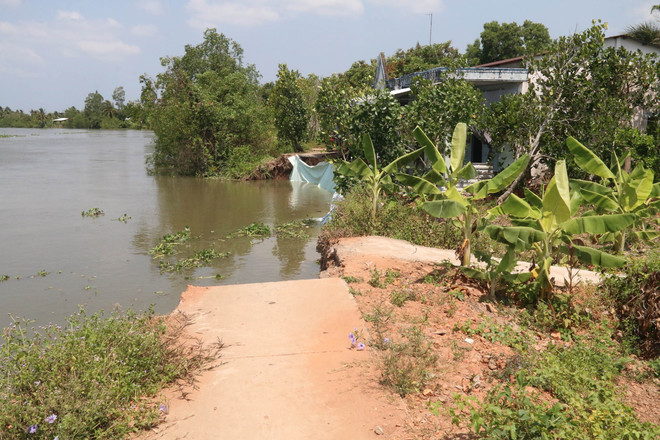Vùng đầu nguồn trên sông Tiền tiếp tục sạt lở nghiêm trọng ảnh 1