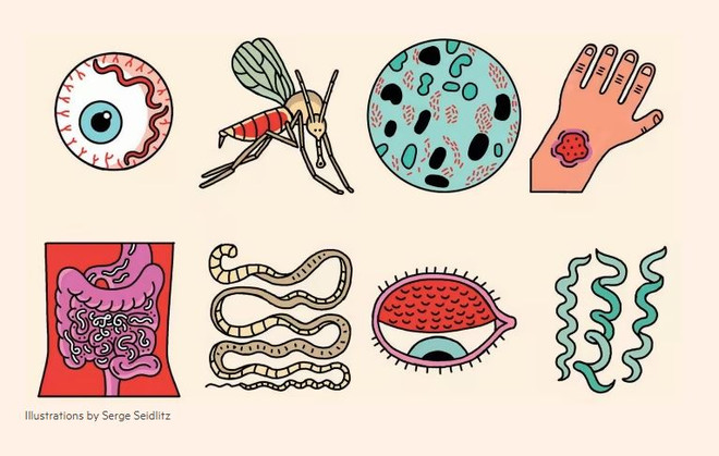 Hơn 1,65 tỷ người mắc các bệnh nhiệt đới bị lãng quên trong năm 2021 ảnh 1