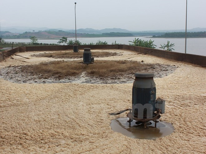 Cụm công nghiệp phải đảm bảo tối thiểu chiếm 10% diện tích cây xanh ảnh 1