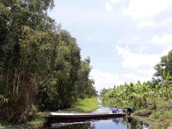 Nắng nóng diện rộng khắp Bắc Bộ, nhiệt độ cao nhất lên tới 39 độ ảnh 1