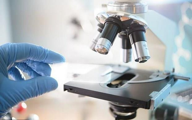 Sự kiện quốc tế nổi bật tuần qua: Thượng đỉnh Mỹ-Triều lần hai ảnh 5