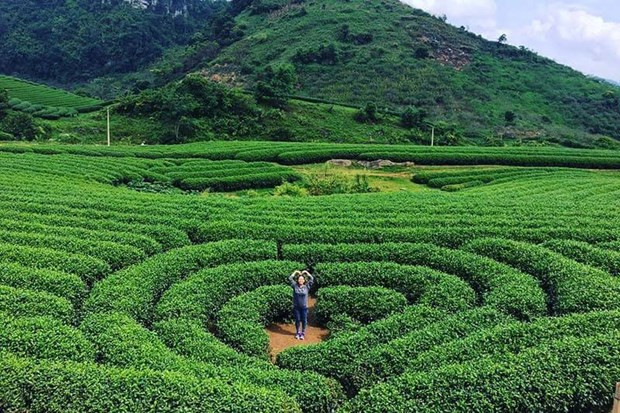 ''Trải nghiệm sắc màu Sơn La'' - Kết nối du lịch Hà Nội-Sơn La ảnh 1