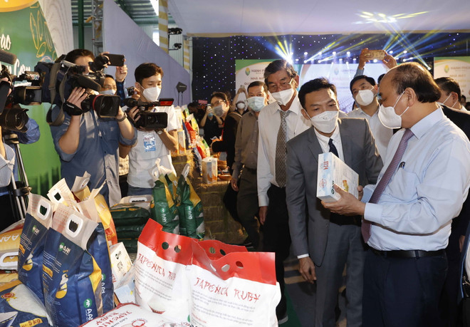 Chủ tịch nước chúc Tết các đồng chí nguyên lãnh đạo tỉnh An Giang ảnh 4