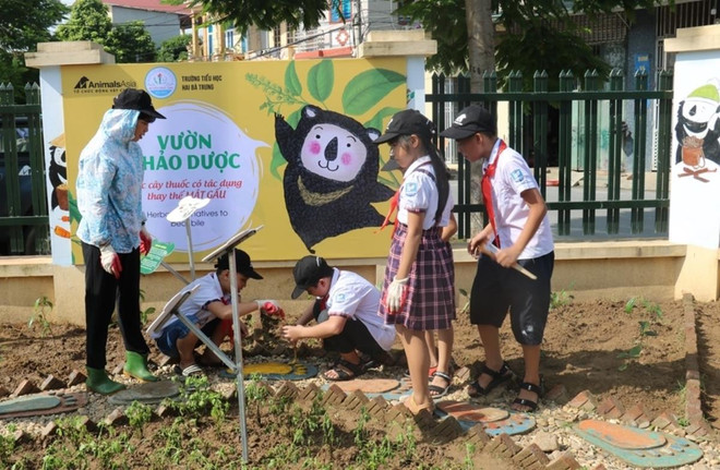 Các em em hoc sinh sơn các viên gạch chân gấu. (Ảnh: TCĐVCA cung cấp) Hà Nội: Khởi động trồng vườn thảo dược bảo vệ gấu tại trường tiểu học ảnh 6
