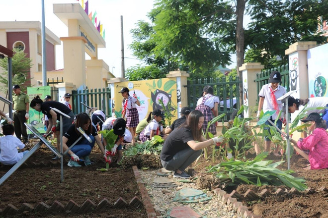 Học sinh Trường tiểu học Hai Bà Trưng trồng cây thảo dược thay mật gấu. (Ảnh: TCĐVCA cung cấp) Hà Nội: Khởi động trồng vườn thảo dược bảo vệ gấu tại trường tiểu học ảnh 3