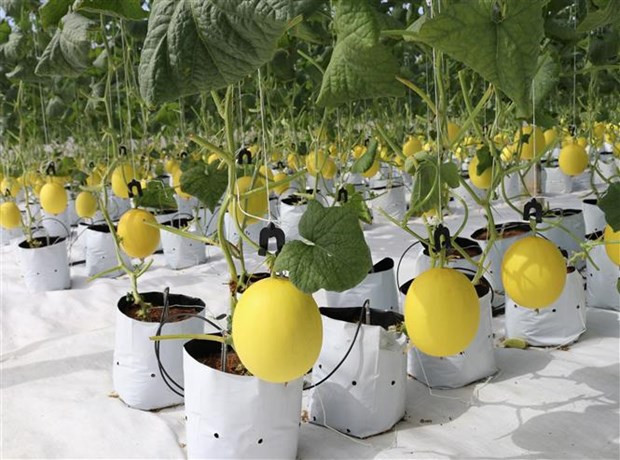 Đẩy mạnh tái cơ cấu, lấy doanh nghiệp là trung tâm đổi mới sáng tạo ảnh 2