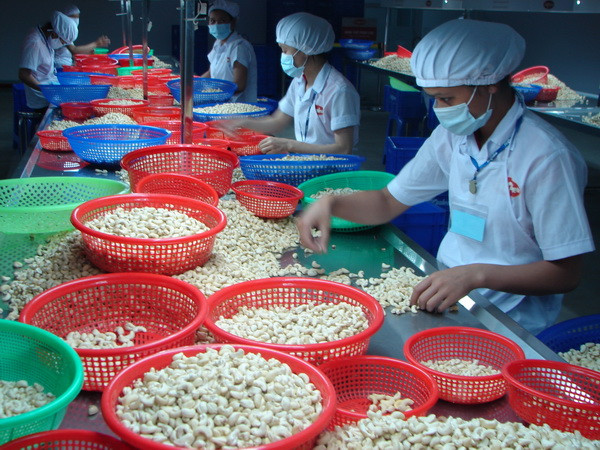 Xuyên suốt nhiều giải pháp gỡ khó cho doanh nghiệp xuất khẩu ảnh 2