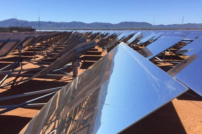 Nhà kính trồng cà chua bằng nước biển đầu tiên trên thế giới ảnh 3