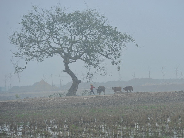 Không khí lạnh tăng cường, từ đêm 7/3 Bắc Bộ chuyển mưa rét ảnh 1
