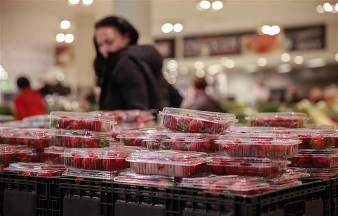 "Cuộc khủng hoảng dâu tây tươi" tại Australia đã tạm lắng dịu ảnh 1