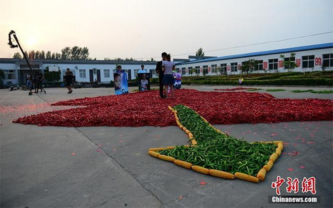 Chàng trai "gây sốc" khi sử dụng tới 99.999 quả ớt để tỏ tình ảnh 2