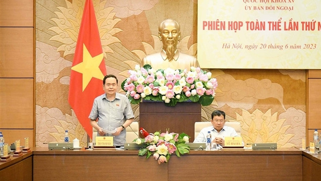 Nâng cao hiệu quả hoạt động đối ngoại của Quốc hội trong tình hình mới ảnh 1