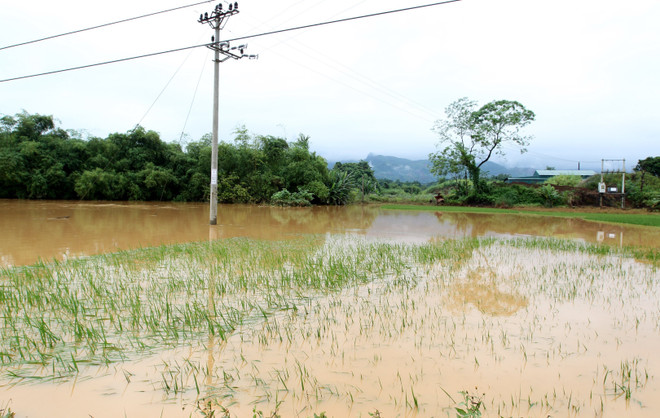 Chủ động ứng phó với vùng áp thấp trên khu vực Nam Biển Đông ảnh 1