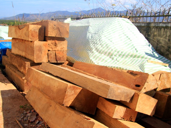 Đình chỉ công tác 4 cán bộ thuộc Bộ đội Biên phòng Đắk Lắk ảnh 1