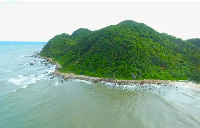 Khám phá nét đa dạng sinh học ở Vườn Quốc gia Bái Tử Long ảnh 2