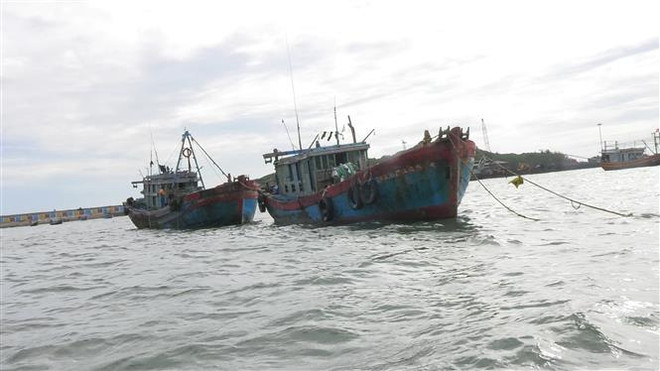 Từ Quảng Ngãi đến Cà Mau chủ động ứng phó với vùng áp thấp ảnh 1