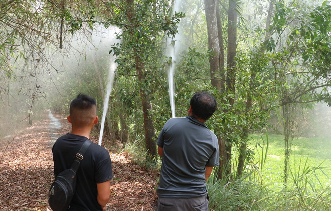 phong chong chay rung.jpg