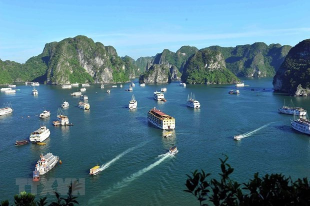Du thuyền trên vịnh Hạ Long. (Ảnh: Minh Đức/TTXVN) Du lịch văn hóa - Dòng sản phẩm ưu tiên của Chiến lược Du lịch VN ảnh 2